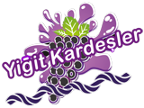 Yiğit Kardeşler Denizli